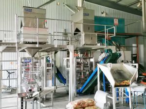 Two units of Millet automatic packaging machine complete installation and debugging at our client factory