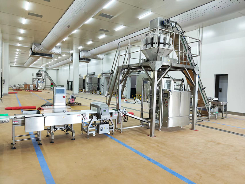 mesin packing otomatis forzen pangan