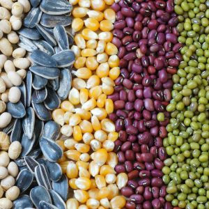 Mesin kemasan winih otomatis